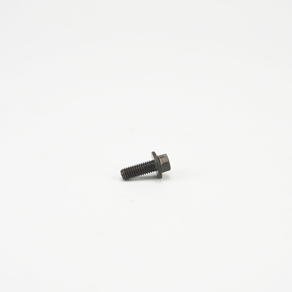 M6 X 16MM FLANGED EGR BOLT