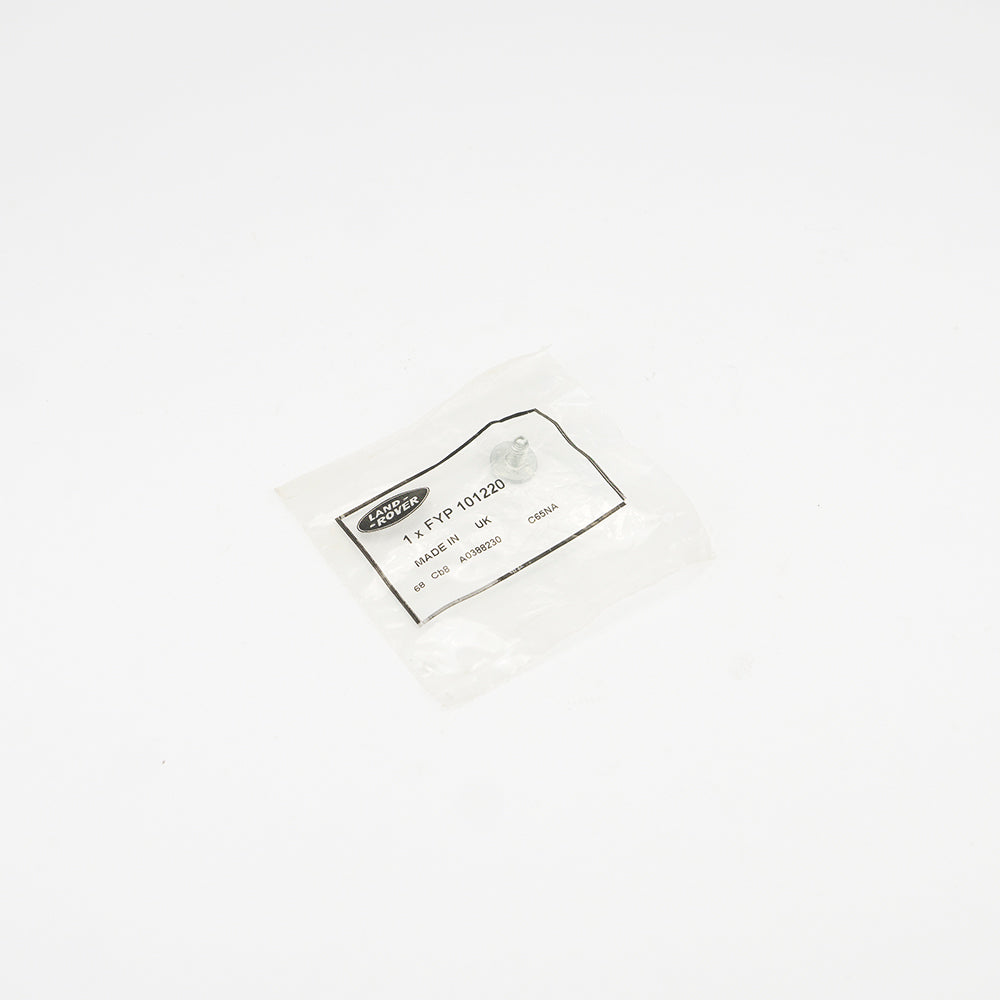 DOOR LATCH TORX SCREW