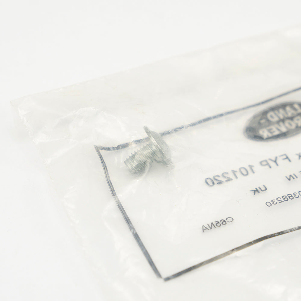 DOOR LATCH TORX SCREW