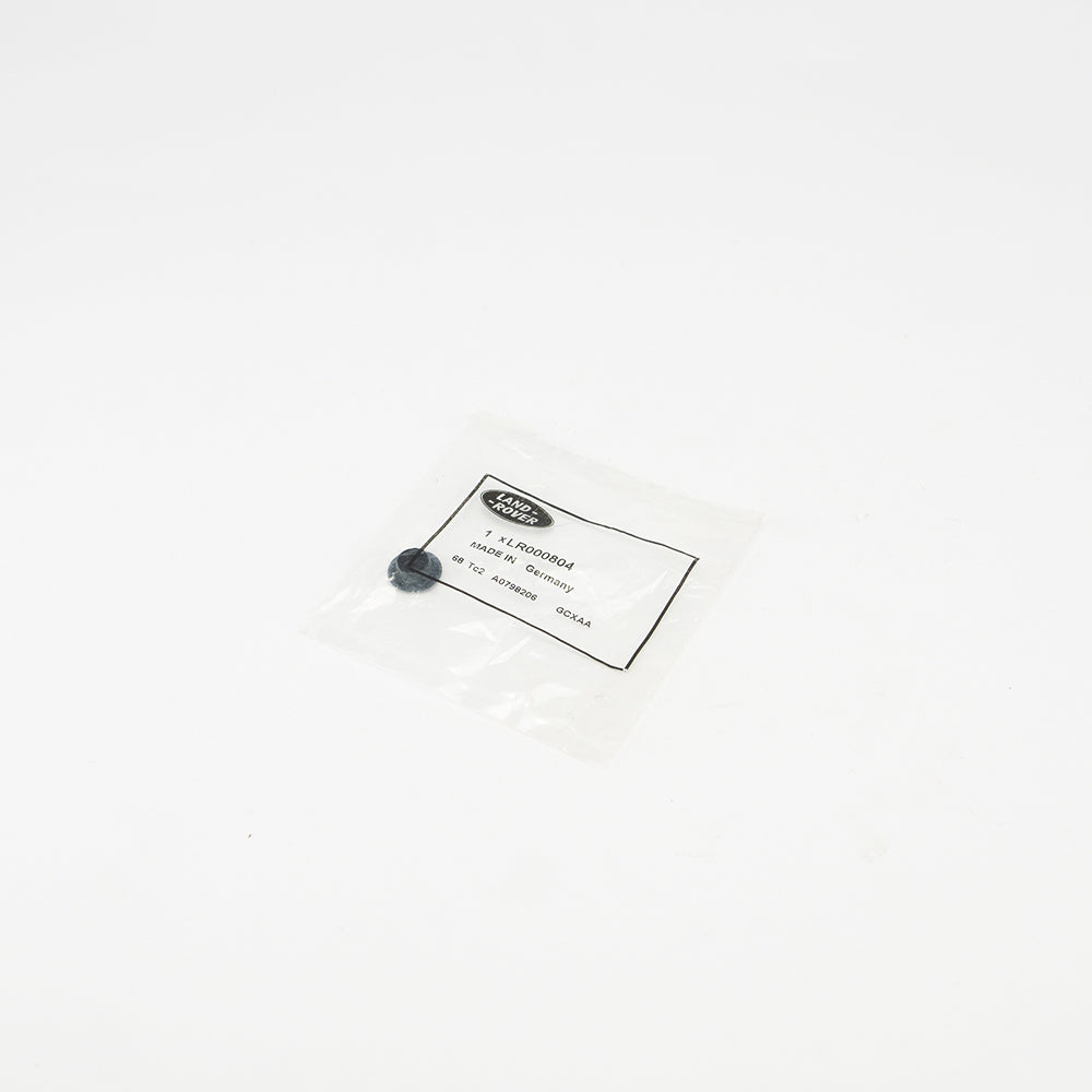 REAR DOOR LOCK PLUG