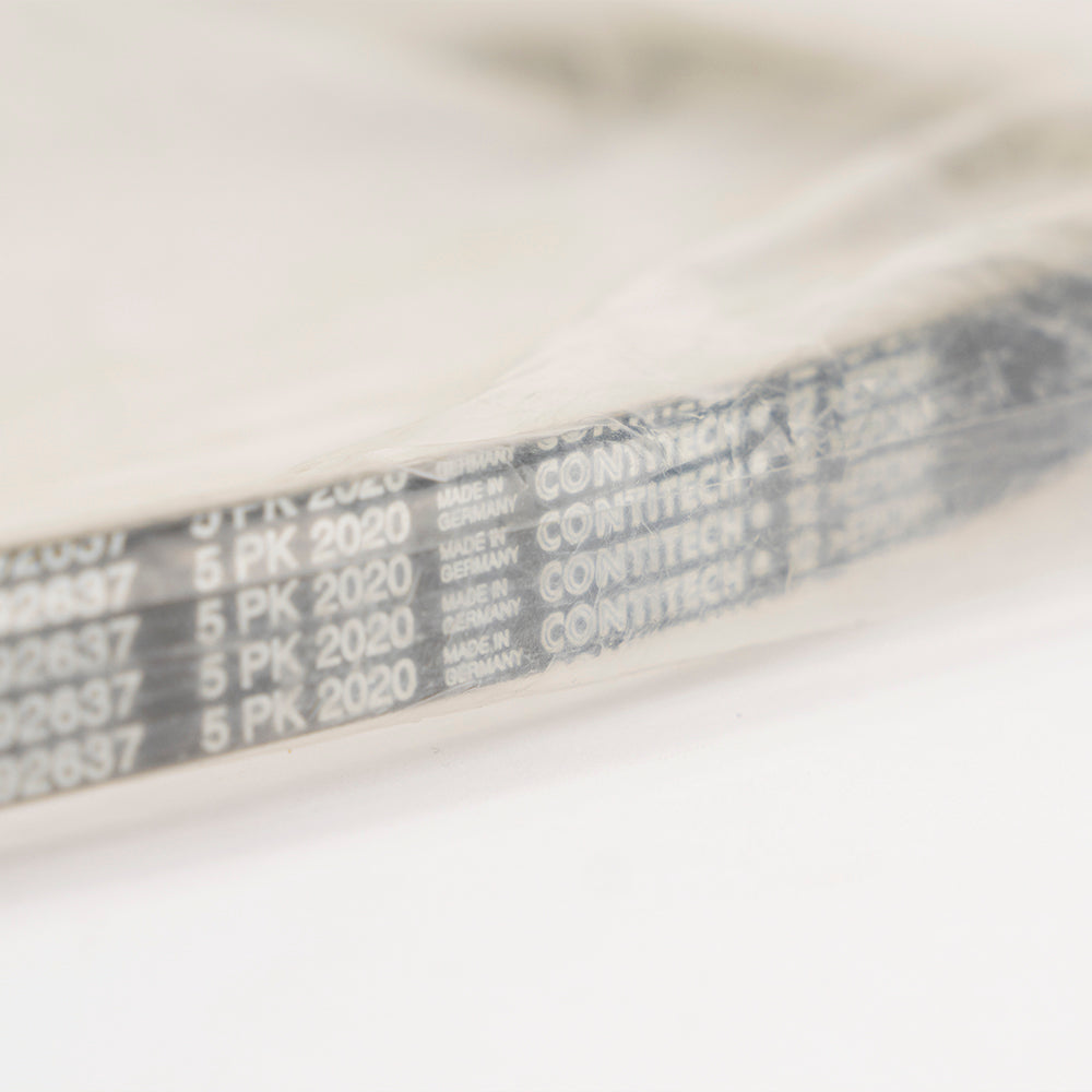 AUXILIARY DRIVE BELT TDV6