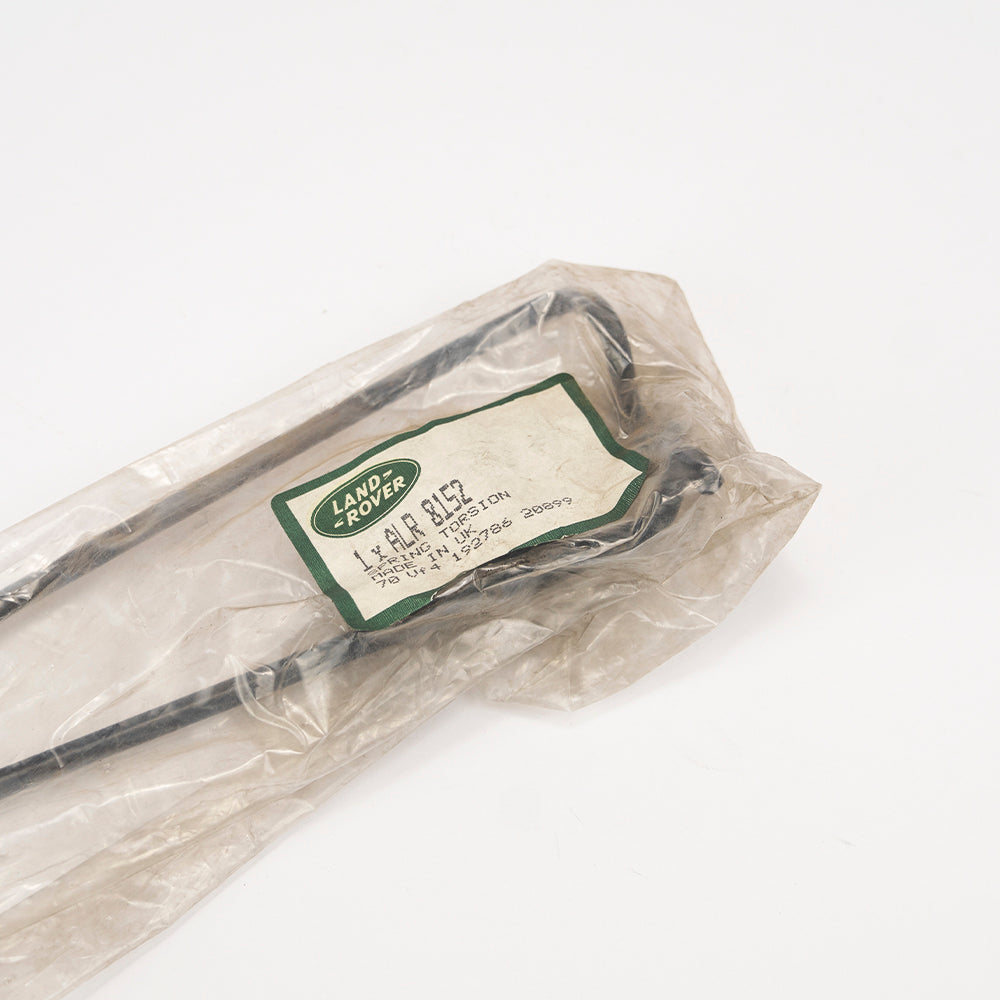 REAR LOWER TAILGATE TORSION SPRING